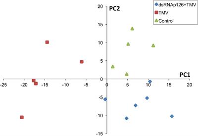 dsRNA Molecules From the Tobacco Mosaic Virus p126 Gene Counteract TMV-Induced Proteome Changes at an Early Stage of Infection